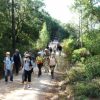 Passeio pedestre: "O Desafio da Arrábida" - Image 2