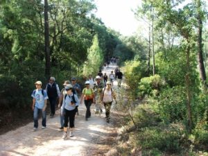 Passeio pedestre: "O Desafio da Arrábida"